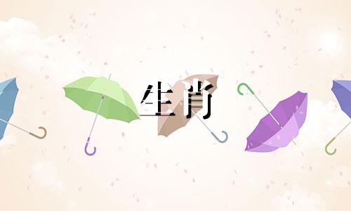 详解十天干壬水八字必修 十天干配对篇之壬水