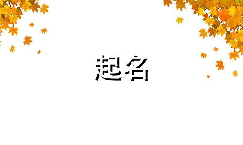 今年创业开再生资源公司如何取名字