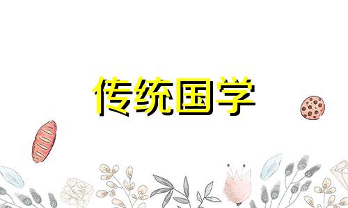 什么样的车牌号是豹子号的