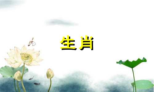 1965年属蛇和与1963年属兔相配吗 1965年属蛇人财运如何