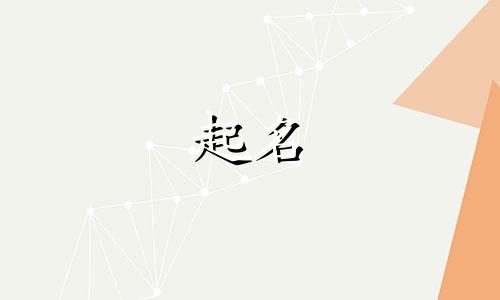 航空货运公司取名字大全最新