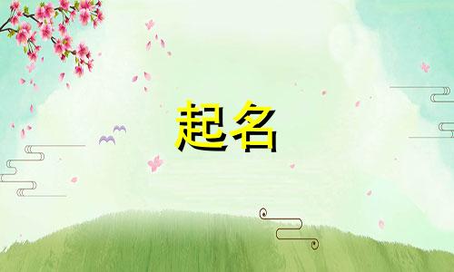 环保节能的公司名字怎样起名好听