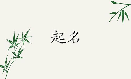 机器人制造公司怎么取名带知字的