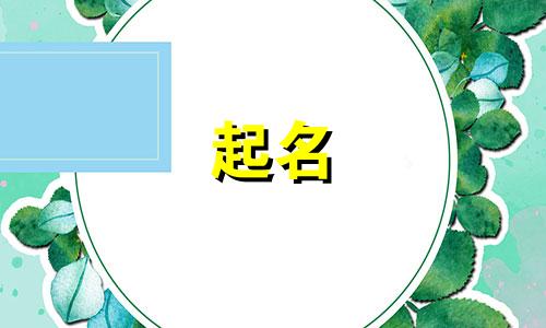 给公司取一个轻奢的名字怎么取