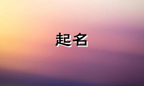 公司带馨字的三字名字大全