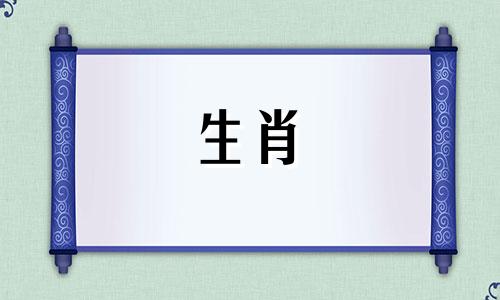 属兔人2025年的贵人属相