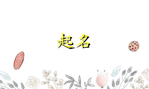 寓意好的照明电气公司名字大全