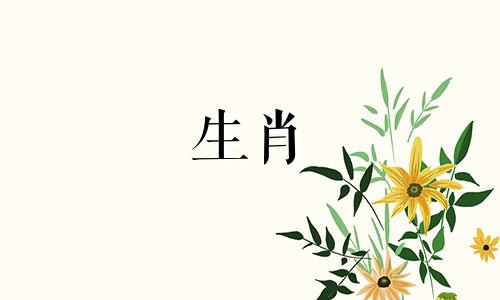 适合做风水师的八字名字 适合做风水师的八字特征