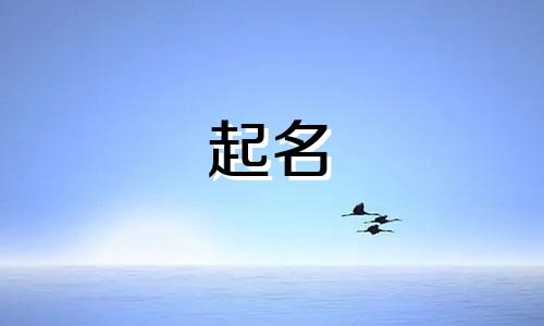 蔡氏好名大全2024洋气名字