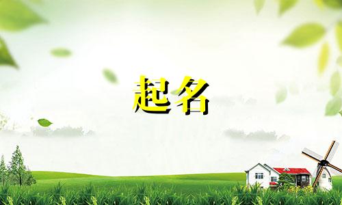 时髦机床销售公司的名字怎么取好听