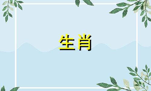 2024年属龙人姻缘怎么样 2024年属龙人的全年运势详解