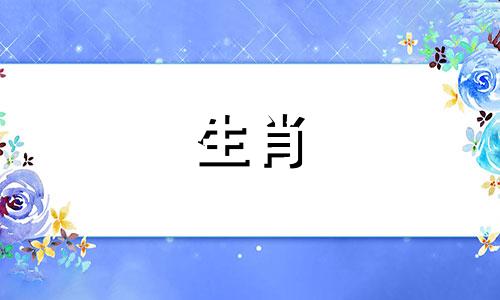 1995猪女1996男鼠婚姻相配吗猪猪与鸡