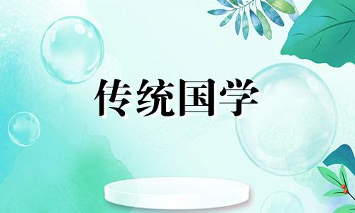 办公桌上放什么植物旺事业