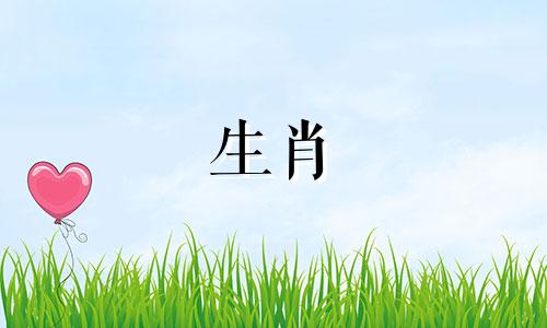 2005年属鸡人2025年全年运势运程如何呢