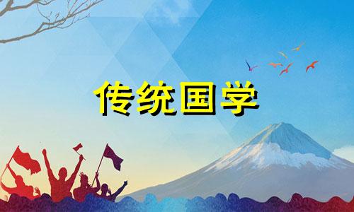 阳台养什么竹子比较适合放客厅呢