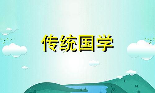 风水上富贵竹养几根才最好