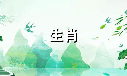 生肖龙2024年8月运势怎么样呢