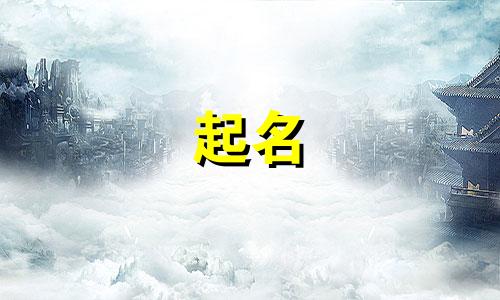 五行属木最骚气的公司名字大全