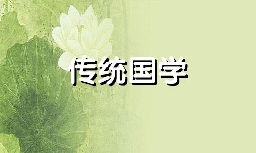 这些植物不宜放在阳台损财又伤身的地方