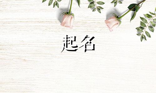 开人力资源公司取什么名字好