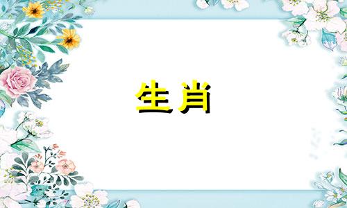 日坐正财的男命妻子特征 日坐正财的男命妻子职业