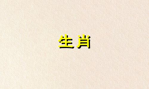 八字配对测试两人姻缘免费