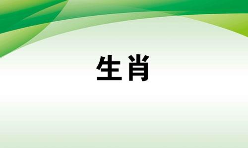 20年属鼠女在2025年的全年运势及每月运势怎么样