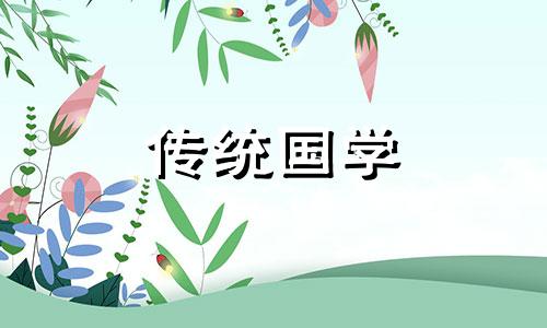 尤加利的风水作用可以旺财旺宅吗为什么