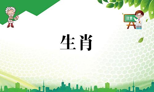 属兔男2025年运势及每月运势如何