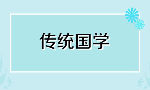 捡一只猫回家是吉还是祸 不能要别人送的猫