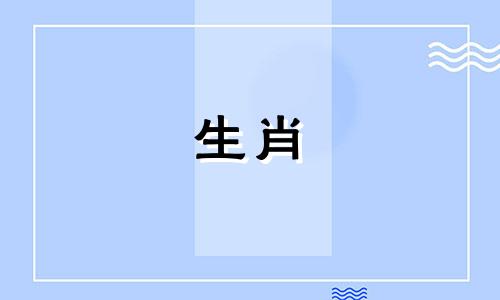 属鼠人2024年9月运势运程