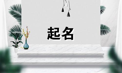 公司取名两个字带标字的名字