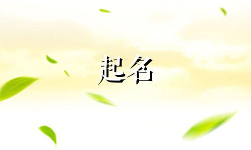 文姓男孩名字2025年5月22日出生的命运