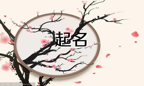 2024年5月初三女宝宝名字