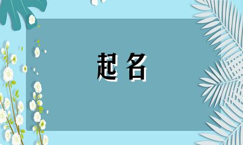 2025年6月1号出生的男宝宝名字叫什么