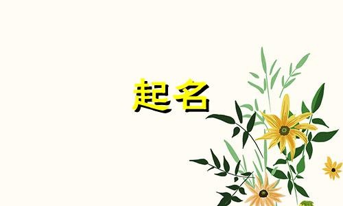 贺姓男孩名字2025年6月1日出生的命运