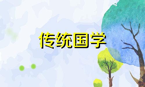 客厅最旺宅的大型植物是什么呢