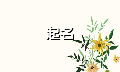 许姓女孩名字2025年6月8日出生的命运