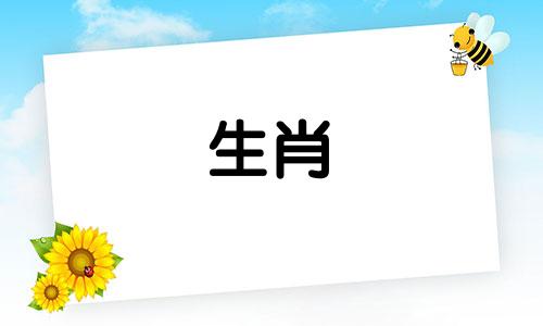 1971年属猪未来5年运势2024