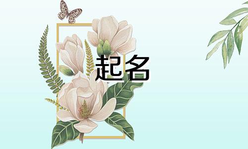 毛姓男孩名字2025年6月18日出生的命运