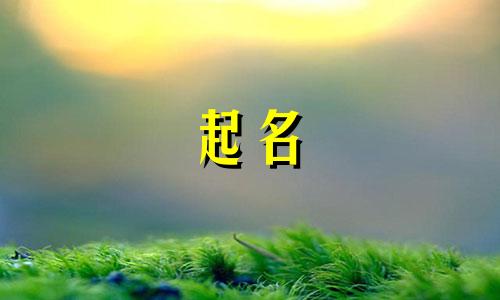 赖姓男孩名字2025年6月30日出生的命运