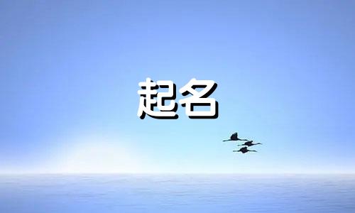 蔡姓男孩名字2025年7月1日出生的命运