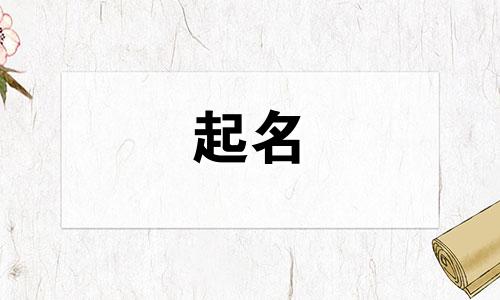 沈姓女孩名字2025年7月4日出生的命运