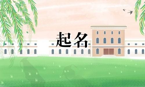 赵姓男孩名字2025年7月17日出生的命运