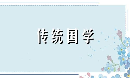 卧室放什么风水好又旺财 卧室放什么绿植比较好风水