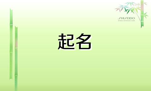 孙姓男孩名字2025年7月27日出生的命运