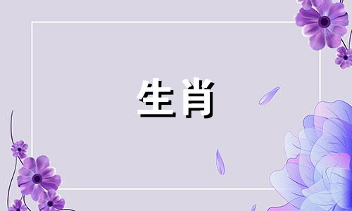 属狗人2024年11月份恋爱桃花运怎么样