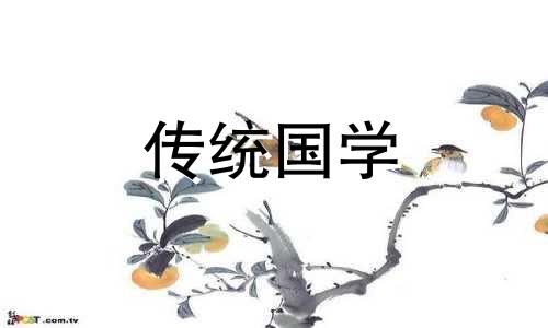 办公桌摆放什么风水植物好呢