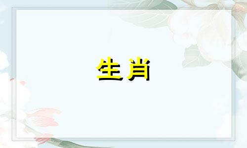 1971年属猪2025年每月运势及运程详解一下