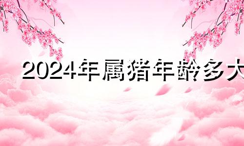 2024年属猪年龄多大 2024年属猪的财运和运气如何